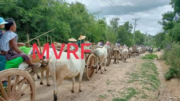 (ထွက်ပြေးတိမ်းရှောင်လာရသော မြိုင်နယ်ပြည်သူများ၊ ဓာတ်ပုံ - MVRF)