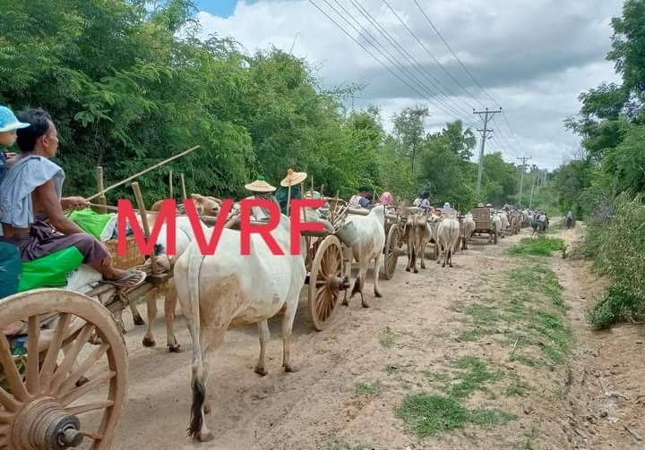 (ထွက်ပြေးတိမ်းရှောင်လာရသော မြိုင်နယ်ပြည်သူများ၊ ဓာတ်ပုံ - MVRF)