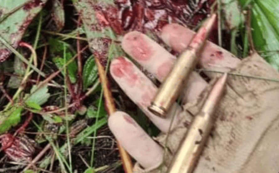 ဓာတ်ပုံ - The Chin Journal