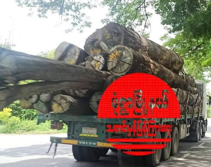 (သံကြိုးတုပ်၍ သယ်ဆောင်သွားသည့် သစ်တင်ယာဥ်တစ်စီးအား တွေ့ရစဥ်၊ ဓာတ်ပုံ-မုံရွာမြို့နယ် သတင်းမှန်ပြန်ကြားရေး)