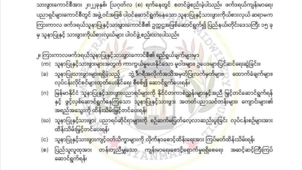ကြားကာလ ဖက်ဒရယ်သူနာပြုနှင့် သားဖွားကောင်စီ (မြန်မာနိုင်ငံ)ဖွဲ့စည်း