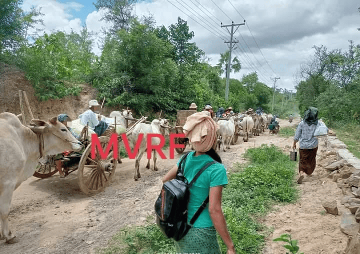 (ထွက်ပြေးတိမ်းရှောင်လာရသော မြိုင်နယ်ပြည်သူများ၊ ဓာတ်ပုံ - MVRF)