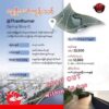 နွေဦးမော်ကွန်းသစ်စီမံကိန်းမှ ကန်ဒေါ်လာ ၃၂,၀၀၀ တန်မြေကွက် (၄၀၀) တစ်ရက်တည်း ရောင်းကုန်