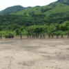 ဓာတ်ပုံ - CNO