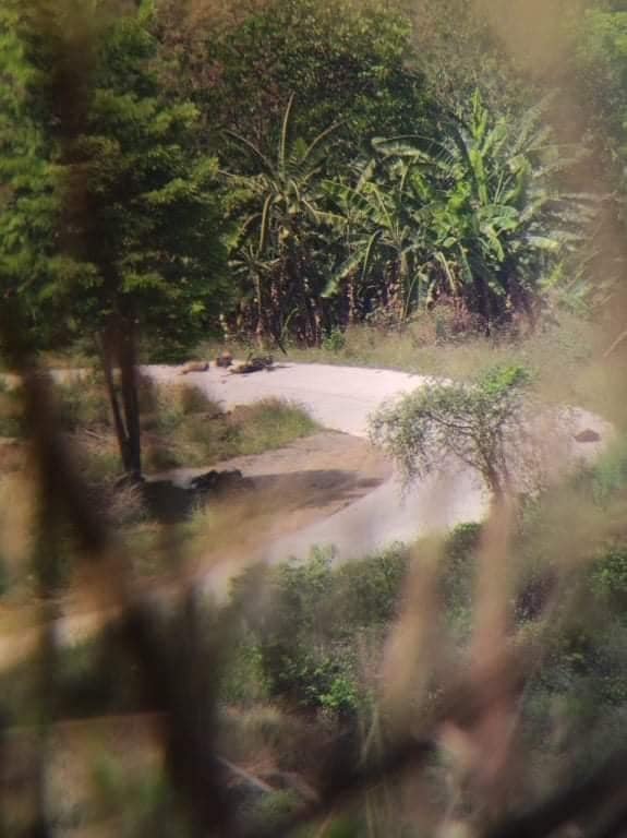 တိုက်ပွဲများတွင် သေဆုံးထိခိုက်များပြားနေမှုကို စစ်ကောင်စီခေါင်းဆောင် မင်းအောင်လှိုင် ဝန်ခံပြီး လက်အောက်ငယ်သားများအား အပြစ်ဖို့