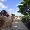 (ထွက်ပြေးတိမ်းရှောင်လာသော တန့်ဆည်နယ်ရှိ ကျေးရွာများမှ ပြည်သူများ၊ ဓာတ်ပုံ-TCRF)