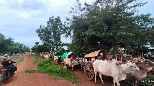 ထွက်ပြေးတိမ်းရှောင်လာရသည့် ခင်ဦးဒေသခံများ၊ ဓာတ်ပုံ - Cj