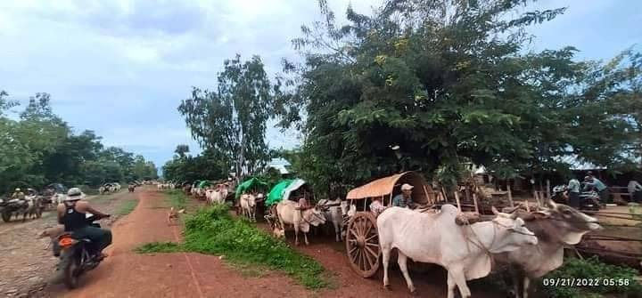 ထွက်ပြေးတိမ်းရှောင်လာရသည့် ခင်ဦးဒေသခံများ၊ ဓာတ်ပုံ - Cj
