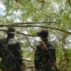 ဓာတ်ပုံ - KNDF
