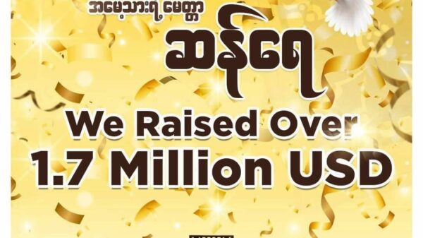 ဒေါ်​အောင်ဆန်းစုကြည်၏သားကိုထိန်းလင်းရေးဆွဲသည့် သစ်ထွင်းပန်းချီ ဆန်ရေပရော့ဂျက်မှ ဒေါ်လာ ၁ ဒဿမ ၇ သန်းကျော်ရှိ