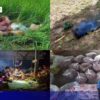 ကော်သူးလေမှာ လက်နက်ကြီးနဲ့ဆက်တိုက်ပစ်နေလို့ စစ်ဘေးရှောင်ဦးရေ ပိုတိုးများလာနေ