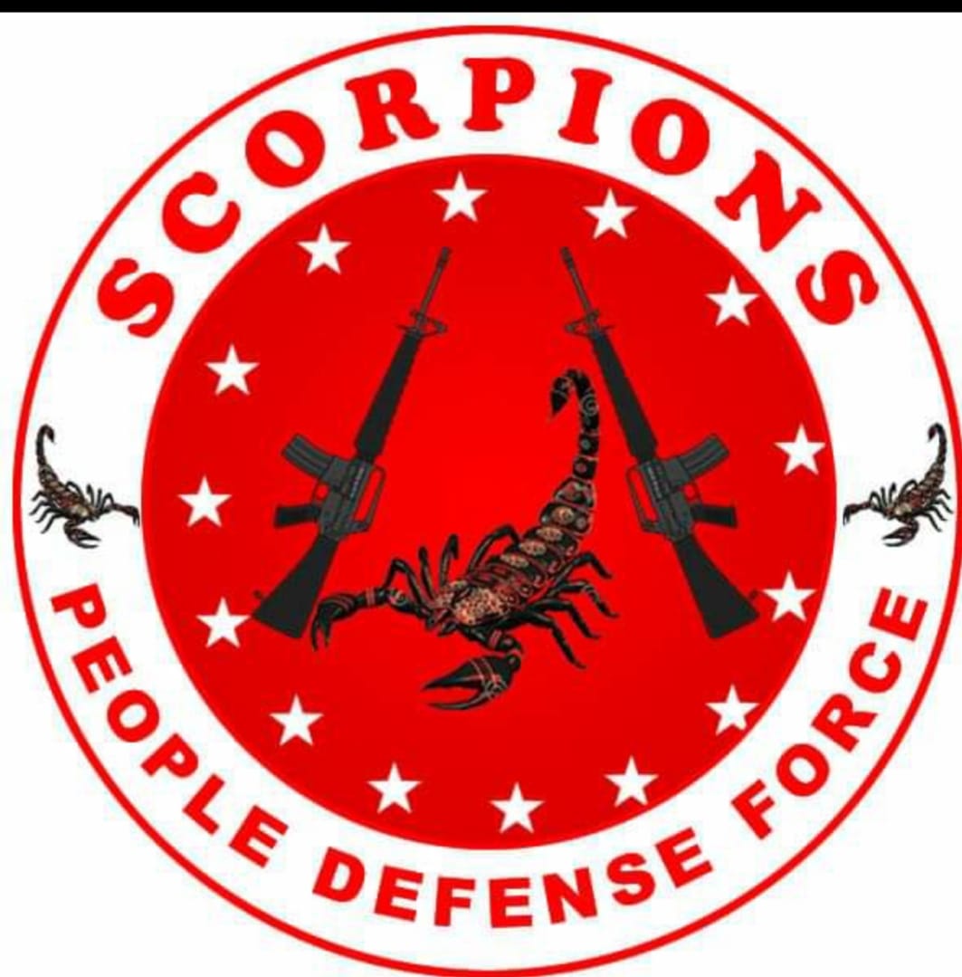 Scorpions People Defense Force