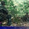 ဓာတ်ပုံ - KNU
