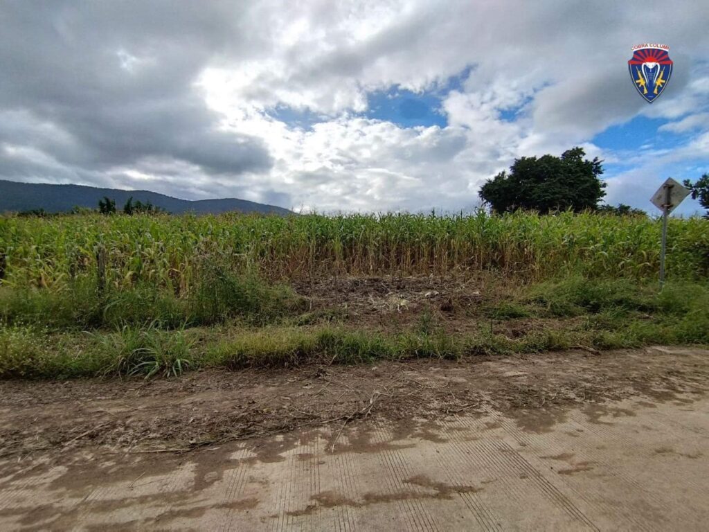 ကော်ဘရာစစ်သည်တော်များအား တိုက်ပွဲအတွင်း တွေ့ရစဉ်၊ ဓာတ်ပုံ - ကော်ဘရာစစ်ကြောင်း