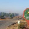 ထီးလင်း