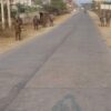 (ရခိုင်ပြည်နယ်တစ်​နေရာတွင် စစ်​ကောင်စီတပ်သားများကို ယခုနှစ်အတွင်း​တွေရစဥ်။ဓါတ်ပုံ-Narinjara news)