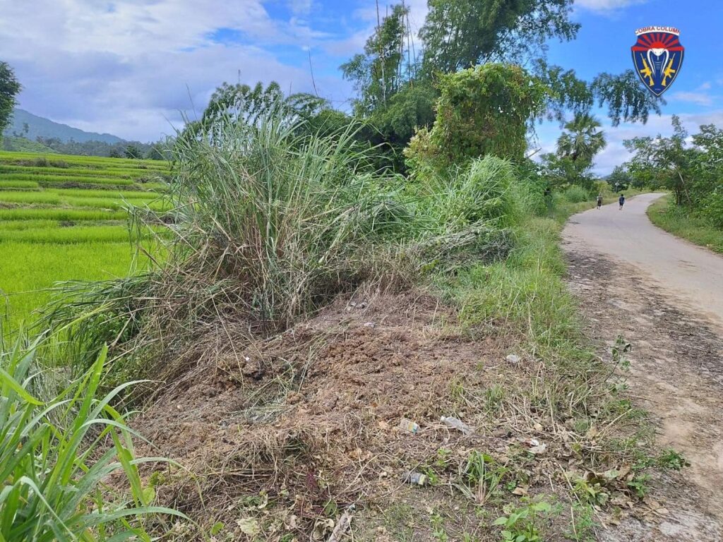 ကော်ဘရာစစ်သည်တော်များအား တိုက်ပွဲအတွင်း တွေ့ရစဉ်၊ ဓာတ်ပုံ - ကော်ဘရာစစ်ကြောင်း