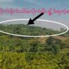 ဓာတ်ပုံ - BNA