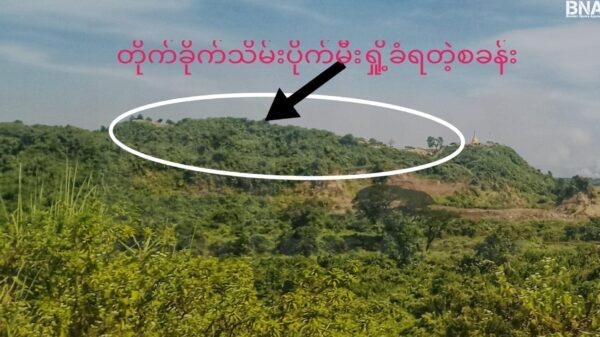 ဓာတ်ပုံ - BNA