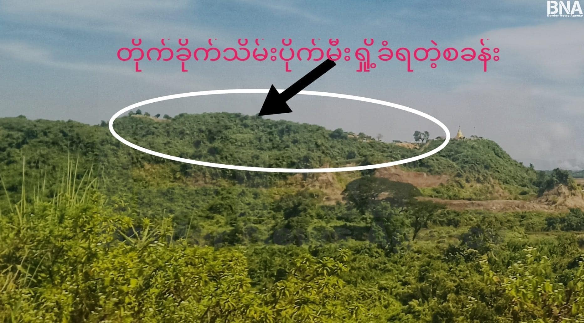 ဓာတ်ပုံ - BNA