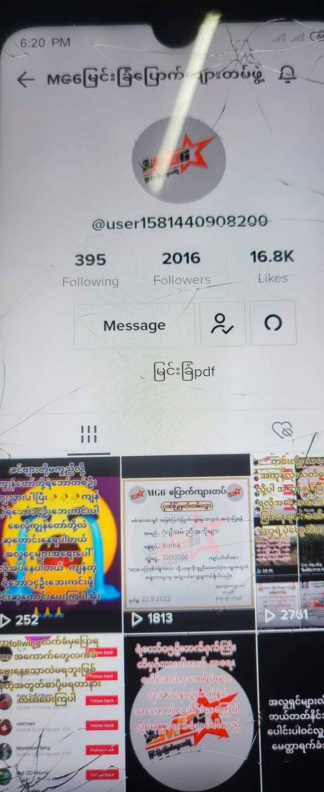 (Tik Tok App တွင်တွေ့ရသည့် MG6ပြောက်ကျားတပ်ဖွဲ့(မြင်းခြံ)၏ စာမျက်အတု။ ။ဓါတ်ပုံ-MG6ပြောက်ကျားတပ်ဖွဲ့(မြင်းခြံ))