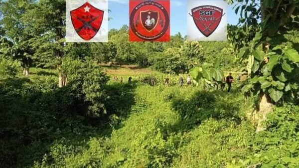 (စစ်ဆင်ရေးသွားနေသည့် ဒေသကာကွယ်ရေးအဖွဲ့ဝင်များအား တွေ့ရစဥ်၊ဓာတ်ပုံ- Aung San Force)