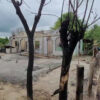 မီးလောင်ပြင်ထဲ ပြန်တည်ဆောက်ကြရသူတွေ