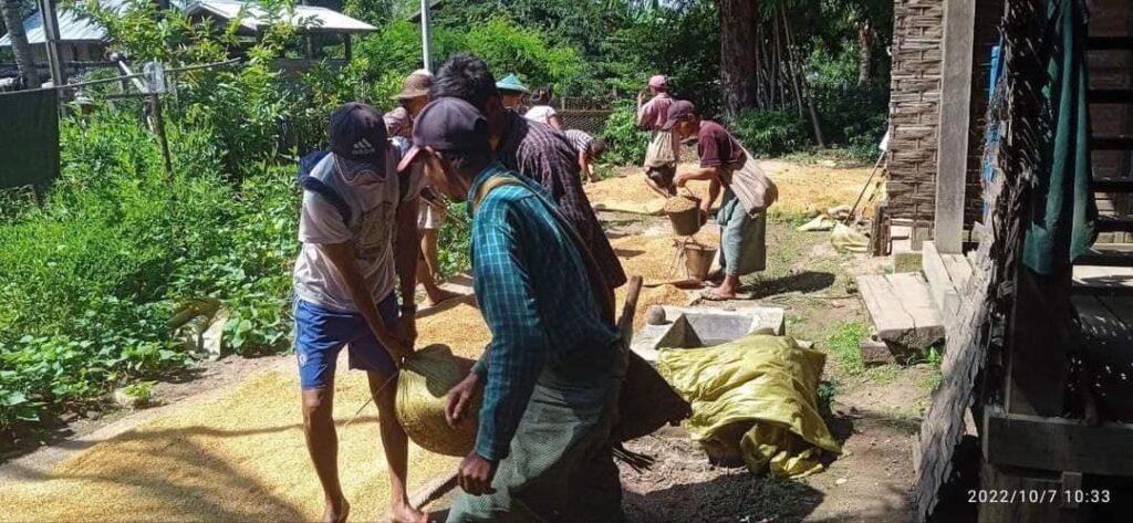 (ပြည်သူ့ကာကွယ်ရေးတပ်ဖွဲ့ဝင်များက မီးငြှိမ်းသတ်ပေးပြီးစပါးများမီးမလောင်စေရန်ကူညီသယ်ဆောင်ပေးနေစဥ်။ ဓါတ်ပုံ-PDF-ထီးလင်း)