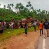 ဓာတ်ပုံ - ပုလဲဖြူ၊ Cj
