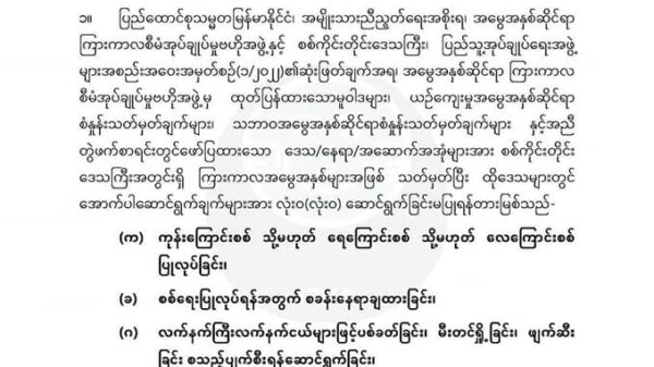 (ကြားကာလအ​မွေအနှစ်စာရင်းနှင့် ညွန်ကြားချက်)