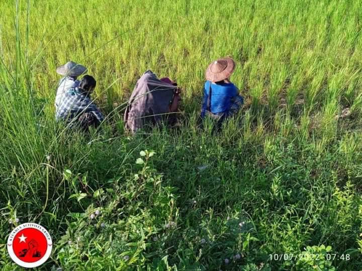 ထွက်ပြေးတိမ်းရှောင်နေရသော ပြည်သူများ ၊ဓာတ်ပုံ-ကျွန်းလှတက်ကြွလှုပ်ရှားသူများအဖွဲ့