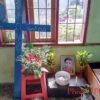 ဓာတ်ပုံ - PKPF