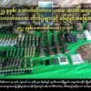 ဓာတ်ပုံ - AA