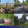 မုန်းမြို့နယ်ထဲတွင် စစ်တပ်က အမျိုးသမီးတစ်ဦးကိုပစ်သတ်ပြီး စိုက်ခင်းများမီးရှို့ဟု KNU ပြော