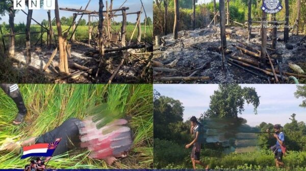 မုန်းမြို့နယ်ထဲတွင် စစ်တပ်က အမျိုးသမီးတစ်ဦးကိုပစ်သတ်ပြီး စိုက်ခင်းများမီးရှို့ဟု KNU ပြော