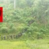 (ပုလဲ PDFမှ ရဲဘော်များအား တွေ့ရစဉ်)