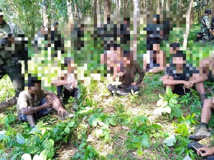 (KNLA တပ်ဖွဲ့ထံအလင်းဝင်သောစစ်ကောင်စီတပ်သားများနှင့် လက်နက်ချအညံ့ခံခဲ့ကြသော စစ်ကောင်စီတပ်သားများ၊ ဓာတ်ပုံ - နဂါးနီစစ်ကြောင်း/ကော်ဘရာစစ်ကြောင်း)