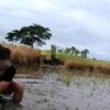 ဇီးဖြူကုန်းစစ်ဆင်ရေးတွင် တွေ့ရသည့် ဒေသကာကွယ်ရေးရဲဘော်များ၊ ဓာတ်ပုံ-ဗိုလ်ကျားရိုင်း