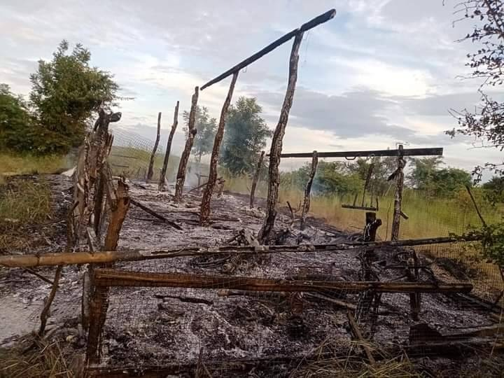 စစ်ဘေးရှောင် ယာယီတဲများအား မီးရှို့ဖျက်ဆီးသွားပြီးနောက် တွေ့ရစဥ်၊ ဓာတ်ပုံ-Pakokku UG