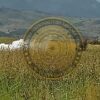 ဓာတ်ပုံ - KNDF