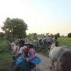 ထွက်ပြေးတိမ်းရှောင်နေရသည့် ဟန်လင်းမြို့ဟောင်းတဝိုက်က ဒေသခံများ၊ဓာတ်ပုံ-Cj