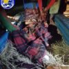 စစ်ကောင်စီတပ် လက်နက်ကြီး ပစ်ခတ်မှုကြောင့် ထိခိုက်သူများအား တွေ့ရစဥ်၊ ဓာတ်ပုံ - ကရင်နီပြည်စစ်ဘေးရှောင် ကူညီစောင့်ရှောက်ရေးကွန်ရက်