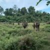 KIA တပ်သားများအား တွေ့ရစဉ်၊ ဓာတ်ပုံ - The Kachin Net