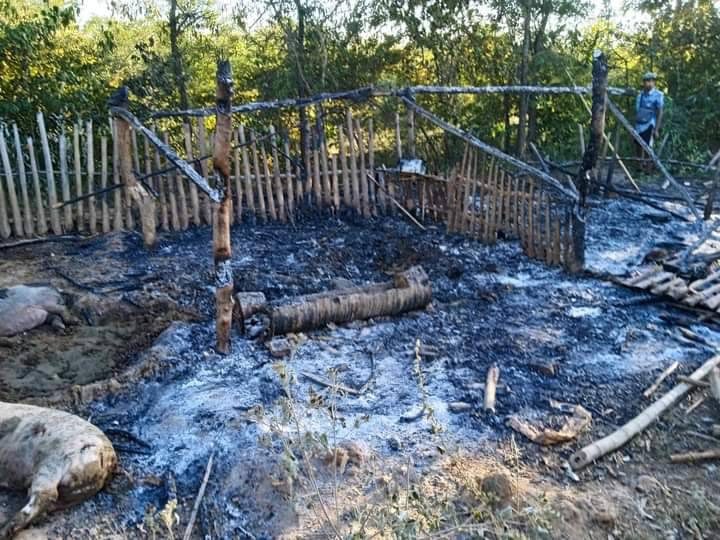 စစ်ကောင်စီတပ် မီးရှို့ဖျက်ဆီးသွားသည့် အုပ်ရှစ်ကုန်းရွာရှိ ကြက်ခြံအပါအဝင် မွေးမြူရေးခြံများ၊ ဓာတ်ပုံ- အရာတော်ပို့စ်