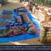 သံတွဲမြို့နယ်တွင် AAက မိုင်းဆွဲတိုက်ခိုက်၍ စစ်ကောင်စီတပ် သေဆုံးထိခိုက်မှုများ