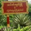 သပိတ်ကျင်းမြို့နယ် တကောင်းရဲကင်းဂိတ်အား ဖောက်ခွဲတိုက်ခိုက်