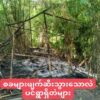 ပေါင်းတည်တွင် စစ်ကောင်စီတပ်က အရပ်သားတစ်ဦး သတ်ဖြတ်ပြီး စစ်ဘေးရှောင်ပြည်သူများ၏ တဲ၁၁လုံးကိုလည်း မီးရှို့ဖျက်ဆီး