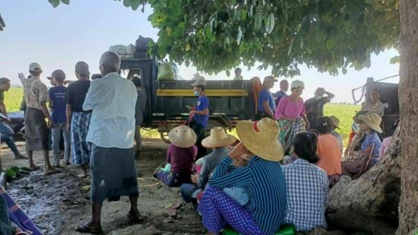 (မြောင်ဒေသစစ်ဘေးရှောင်များ ။ ဓါတ်ပုံ-CDSOM)