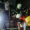 ဓာတ်ပုံ - MFSD