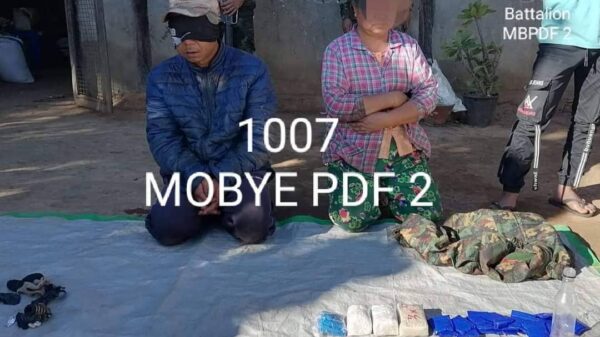 ဓာတ်ပုံ - MOBYE PDF
